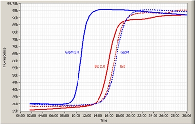 8,000u GspM DNA polymerase  100u/ul