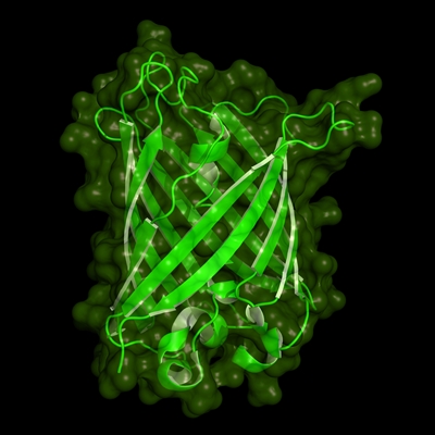 40000u GspM3.0 DNA polymerase @ 100u/ul