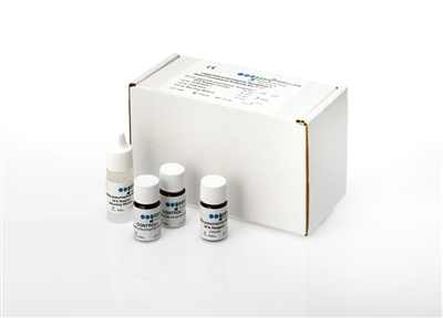 L. pneumophila serogroup 1 DFA Kit