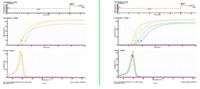 Pro-Amp Molony-murine leukemia virus Reverse Transcriptase (M-MuLV RT)