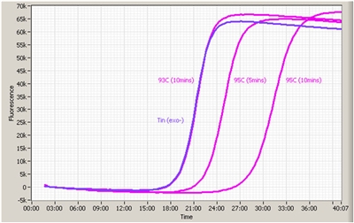 25,000u Thermodesulfatator indicus exo- LF DNA polymerase @ 100u/ul