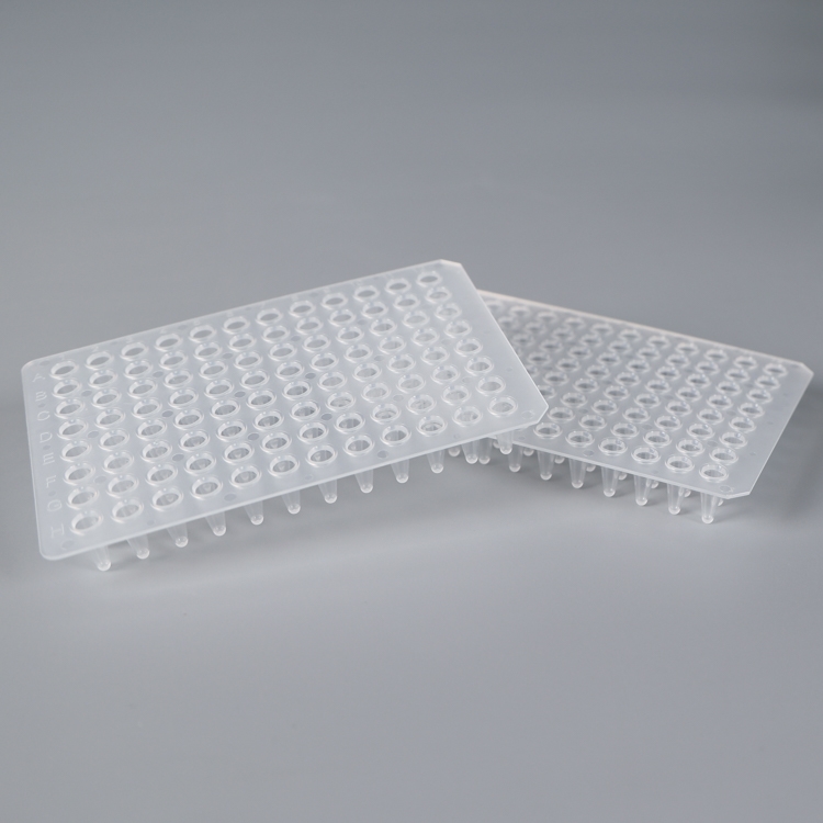 96-Well Non-Skirted PCR Plate PL96PCR