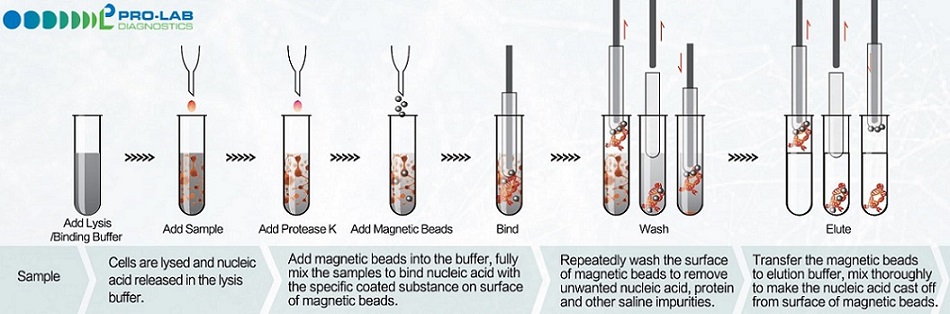 Mag Pro Plus Automated Kit PLM-2007 — vials for the Mag Pro-32 instrument